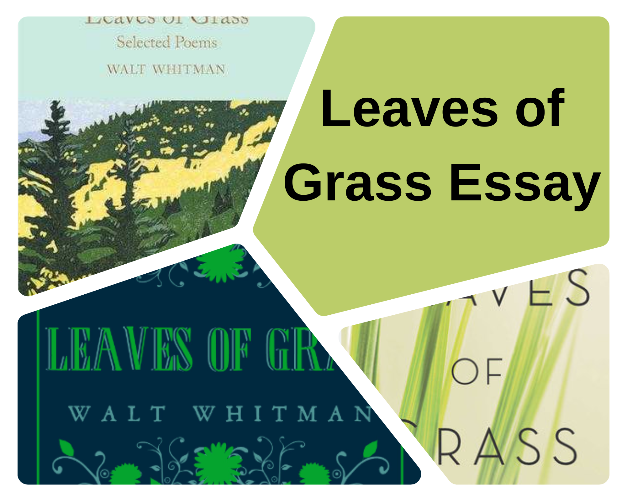 Leaves of Grass Essay Example